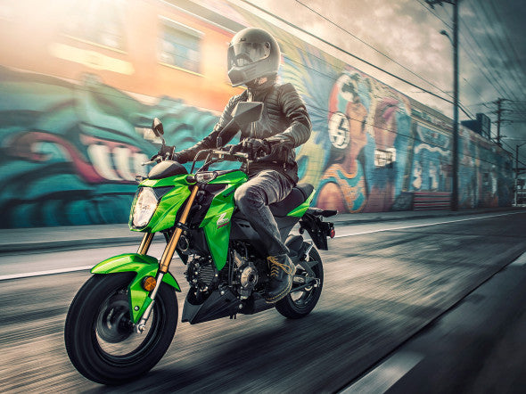 Kawasaki Introduces Affordable Standard Motorcycle