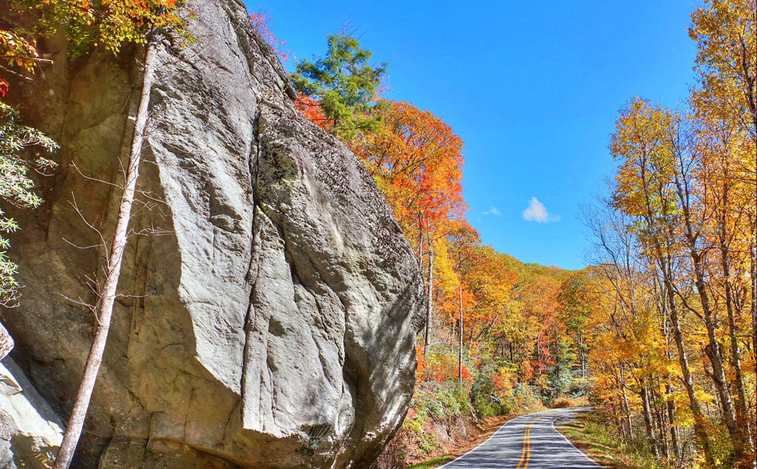 US 221: North Carolina's Little Parkway