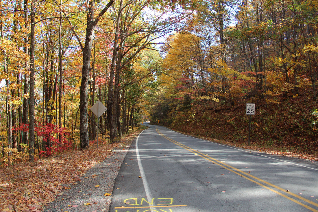 Winding Georgia State Route 180 at Wolf Pen Gap on the North Georgia Six Gap motorcycle route