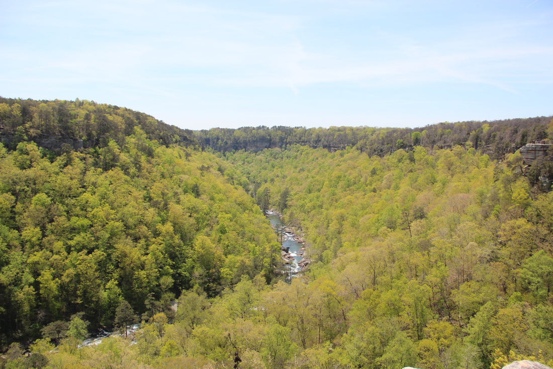 Little River Canyon from Canyon View Overlook in northeast Alabama