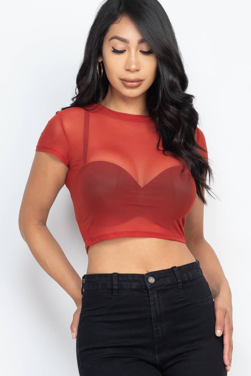 Mesh Sheer Crop Top: Black / M
