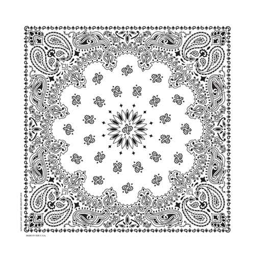 BD254 Bandana Paisley White